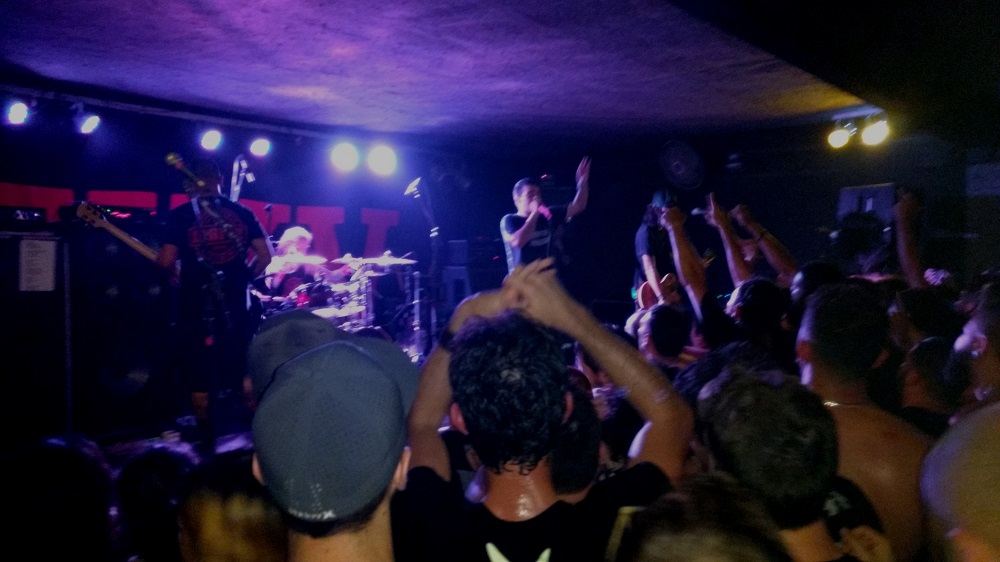 dead-fish-vila-velha-2