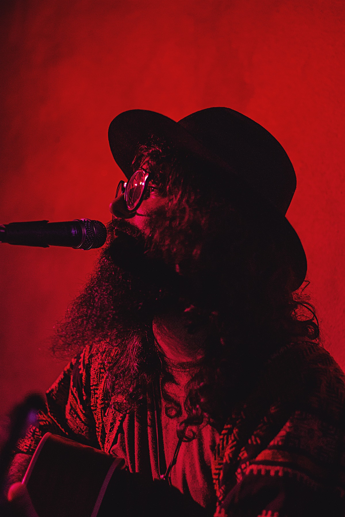 andré-prando-voador-subtrópico-victória-dessaune (4)