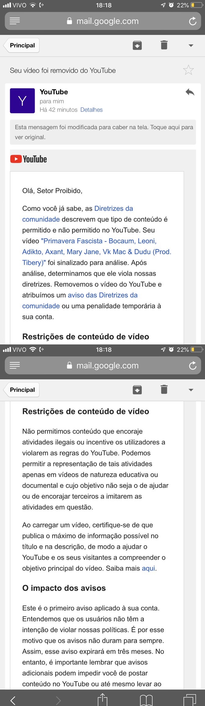 setor-proibido-youtube-twitter-primavera-fascista